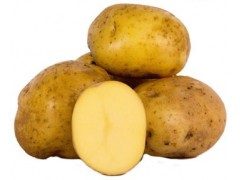 Bio zemiaky agria   1kg