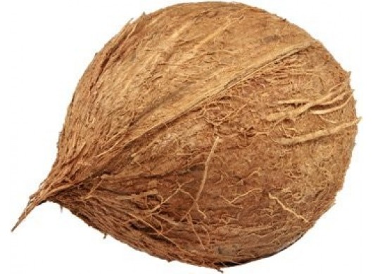Bio kokosový orech 1ks