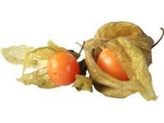Bio physalis 100g