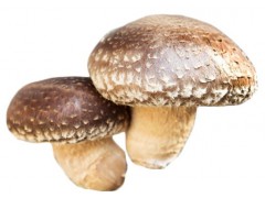 Bio shiitake 250g