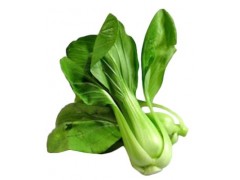 Bio pak choi 1ks