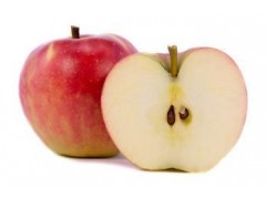 Bio jablká elstar 1kg