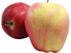 Bio jablká jonagold 1kg