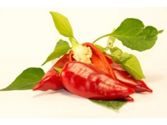 Bio paprika červená špicatá 1kg